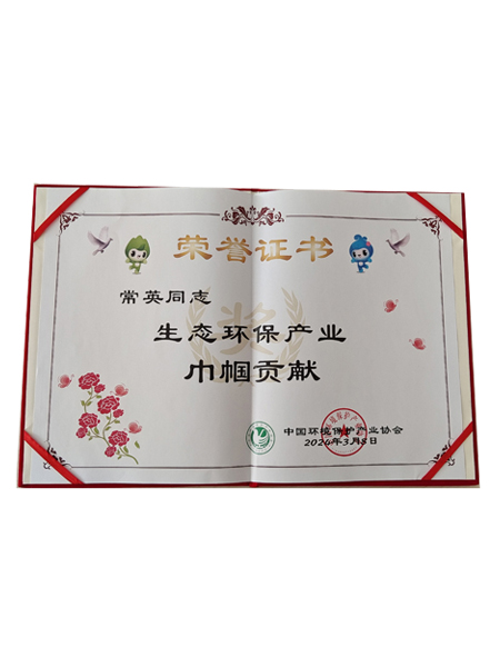 中國環(huán)境保護(hù)產(chǎn)業(yè)協(xié)會巾幗貢獻(xiàn)獎